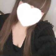 ヒメ日記 2025/11/17 09:01 投稿 ツバキ 飾窓