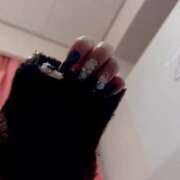 ヒメ日記 2025/12/16 11:30 投稿 ツバキ 飾窓