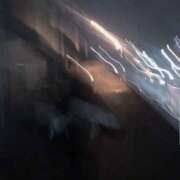 ヒメ日記 2026/01/08 21:21 投稿 ツバキ 飾窓