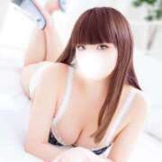 ヒメ日記 2026/01/13 04:28 投稿 ツバキ 飾窓