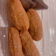 ヒメ日記 2026/02/27 00:50 投稿 ツバキ 飾窓