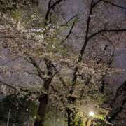ヒメ日記 2026/04/05 00:01 投稿 芙羽璃-Fuuri- 姉新地