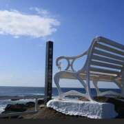 ヒメ日記 2025/12/28 11:05 投稿 泉水ねね 癒されるワイフ