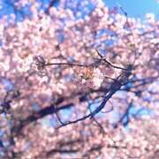 ヒメ日記 2026/04/08 14:19 投稿 つばさ 大宮baton