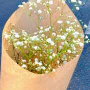 つばさ 御礼🌿 大宮baton