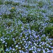 ヒメ日記 2026/04/17 15:39 投稿 つばさ 大宮baton