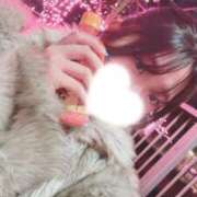 ヒメ日記 2025/12/20 19:48 投稿 ベル 性の極み 技の伝道師　五反田店