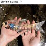 ヒメ日記 2025/10/05 20:22 投稿 工口（こうぐち） 丸妻 錦糸町店