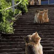 ヒメ日記 2025/10/15 13:33 投稿 工口（こうぐち） 丸妻 錦糸町店