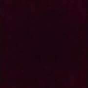 ヒメ日記 2025/10/17 16:49 投稿 工口（こうぐち） 丸妻 錦糸町店