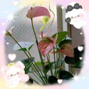 ヒメ日記 2025/10/07 17:15 投稿 あまねさん 鶯谷のデリヘル桃山