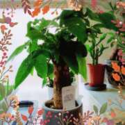 ヒメ日記 2025/10/11 01:01 投稿 あまねさん 鶯谷のデリヘル桃山