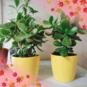 ヒメ日記 2025/10/13 10:35 投稿 あまねさん 鶯谷のデリヘル桃山