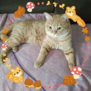 ヒメ日記 2025/11/08 11:08 投稿 あまねさん 鶯谷のデリヘル桃山