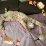 ヒメ日記 2025/11/09 22:00 投稿 あまねさん 鶯谷のデリヘル桃山