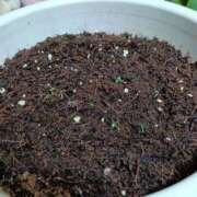 ヒメ日記 2025/11/14 19:22 投稿 あまねさん 鶯谷のデリヘル桃山