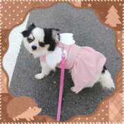 ヒメ日記 2025/11/23 15:45 投稿 あまねさん 鶯谷のデリヘル桃山