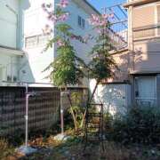 あまねさん おはようございます(*^^*) 鶯谷のデリヘル桃山