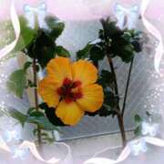 ヒメ日記 2025/12/08 09:48 投稿 あまねさん 鶯谷のデリヘル桃山