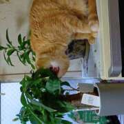 ヒメ日記 2026/02/11 14:09 投稿 あまねさん 鶯谷のデリヘル桃山