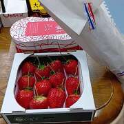 ヒメ日記 2026/02/17 11:26 投稿 あまねさん 鶯谷のデリヘル桃山