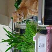 ヒメ日記 2026/03/13 07:33 投稿 あまねさん 鶯谷のデリヘル桃山