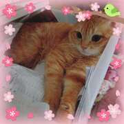 あまねさん ガチャガチャの 鶯谷のデリヘル桃山