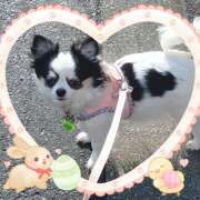 あまねさん 待機中です(*^_^*) 鶯谷のデリヘル桃山