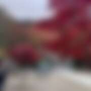 ヒメ日記 2025/11/17 15:30 投稿 さらら 神田ハンドメイド