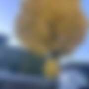 ヒメ日記 2025/12/05 14:00 投稿 さらら 神田ハンドメイド