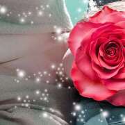 いずみ 今日は暖かい 土浦人妻浮気現場