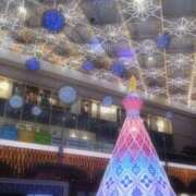 ヒメ日記 2026/01/05 08:35 投稿 まゆ TSUBAKI(ツバキ)