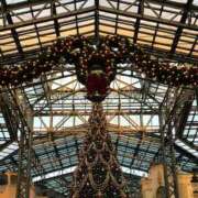 ヒメ日記 2025/12/24 10:15 投稿 あすな 柏人妻花壇