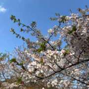 ヒメ日記 2026/02/18 10:20 投稿 あすな 柏人妻花壇