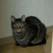 ヒメ日記 2025/10/23 18:29 投稿 あやめ ぽちゃカワイイ！