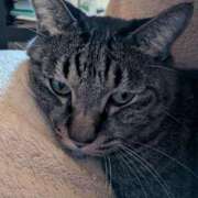 ヒメ日記 2025/11/13 23:26 投稿 あやめ ぽちゃカワイイ！