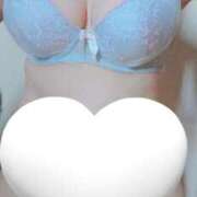 ヒメ日記 2026/02/14 14:02 投稿 あやめ ぽちゃカワイイ！