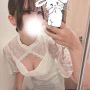 ヒメ日記 2025/09/26 02:39 投稿 さつき ウルトラドリーム