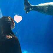 ヒメ日記 2025/09/26 23:09 投稿 さつき ウルトラドリーム