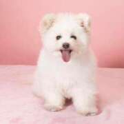 ヒメ日記 2025/11/13 19:55 投稿 みずき 福岡飯塚田川ちゃんこ