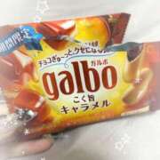 ヒメ日記 2026/02/08 20:27 投稿 はるき ダイスキ