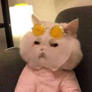 ヒメ日記 2026/02/20 16:53 投稿 はるき ダイスキ