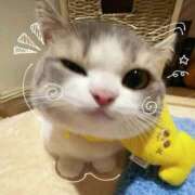 ヒメ日記 2026/04/17 22:40 投稿 はるき ダイスキ