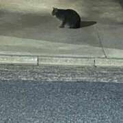 ヒメ日記 2026/04/26 02:22 投稿 はるき ダイスキ