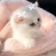 ヒメ日記 2026/04/28 10:00 投稿 はるき ダイスキ