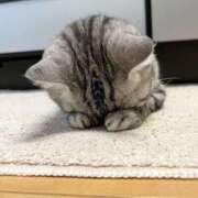 ヒメ日記 2026/07/13 07:10 投稿 はるき ダイスキ