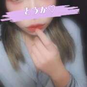 ヒメ日記 2026/01/30 20:05 投稿 とうか 丸の内