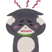 うた うた（スピード日本橋店） スピード日本橋店