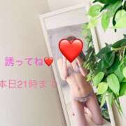 ヒメ日記 2026/03/28 17:19 投稿 サチ 煌-kirameki-