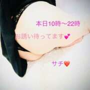 ヒメ日記 2026/04/24 09:45 投稿 サチ 煌-kirameki-
